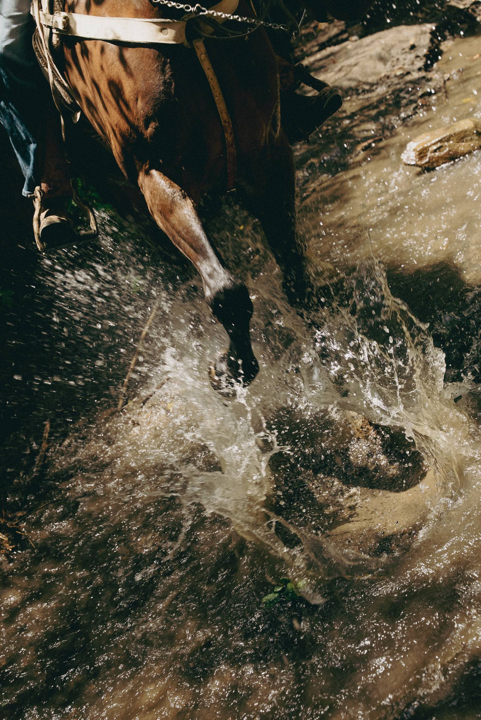 Agua salpicando en los cascos del caballo durante el taller de limpieza de cascos